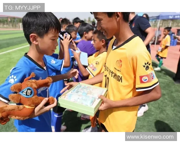 孤独的足球明星在绿茵场上追寻梦想与友情的奇幻旅程